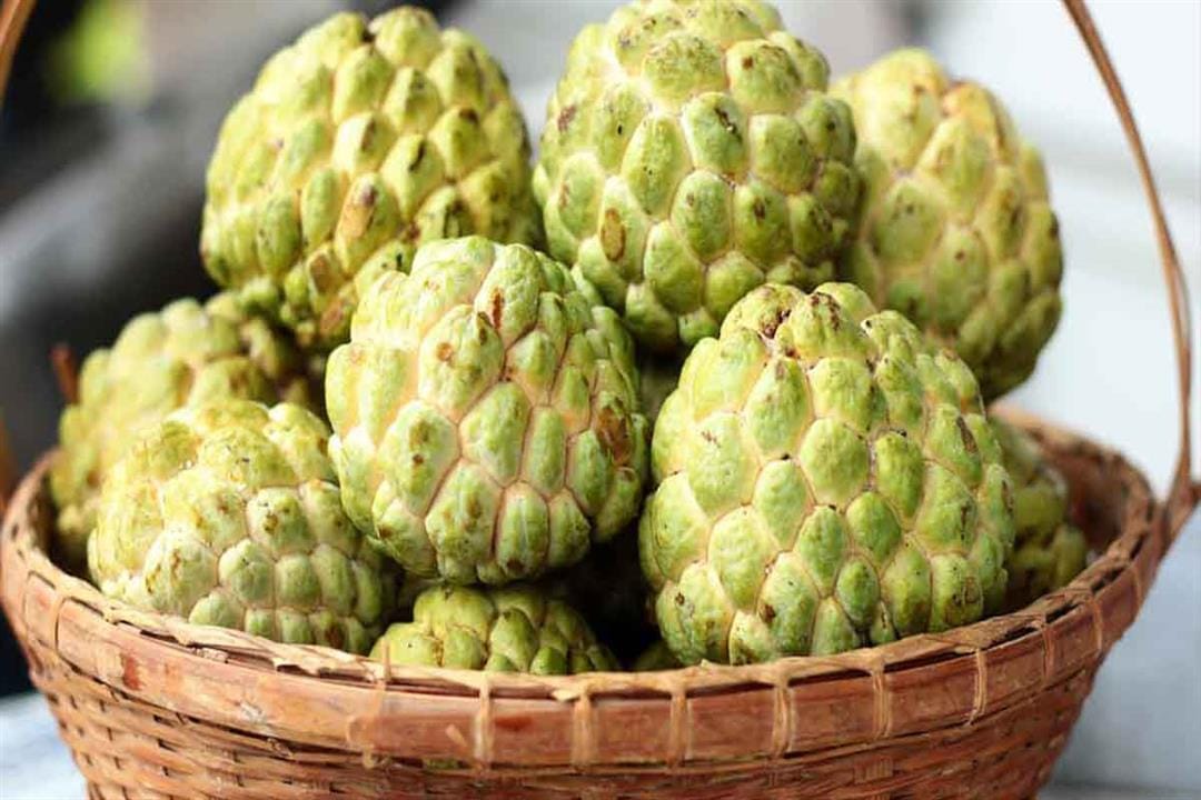 3 اسواق لبيع فاكهة القشطة في الرياض