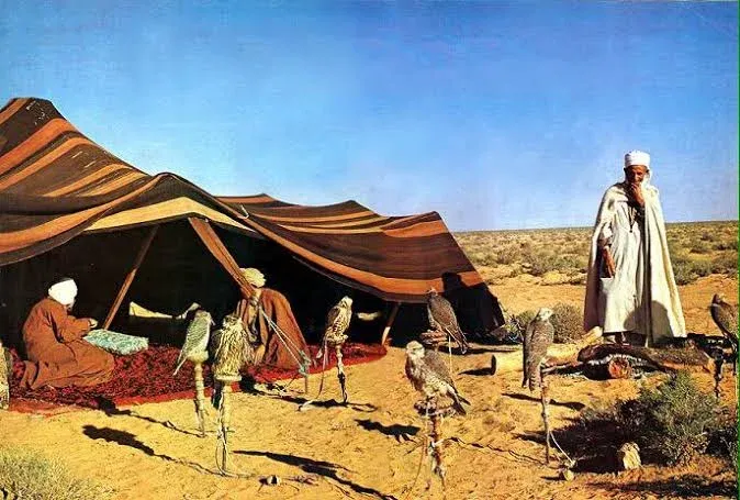 تحديثات تخص نموذج تعريف من شيخ القبيلة