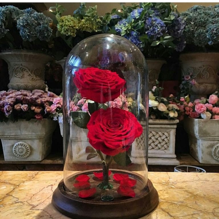افضل 6 محلات توفر ورد يعيش سنة بالرياض بالوان مميزه