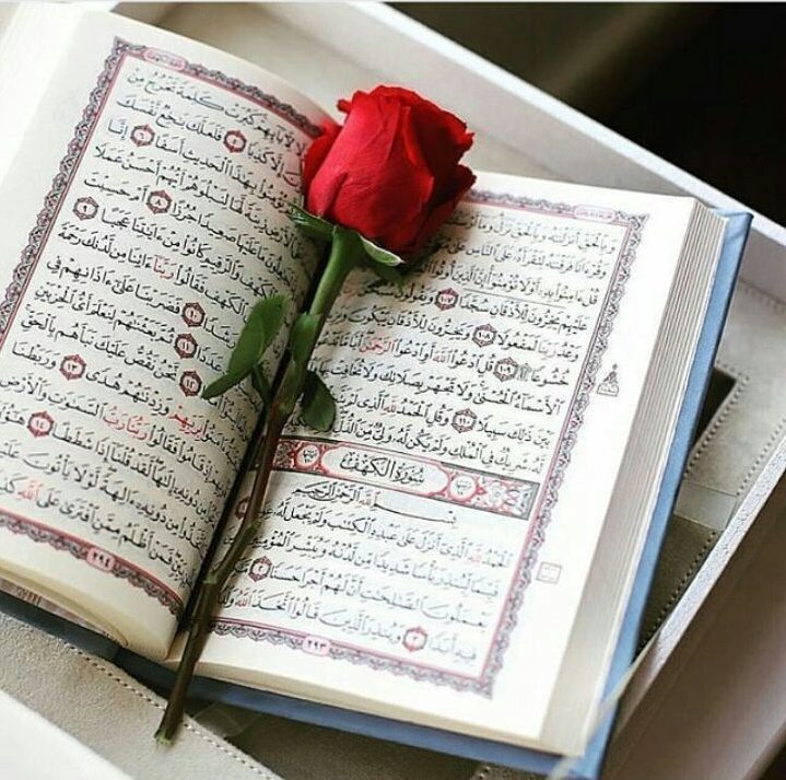 دار تحفيظ القرآن الكريم
