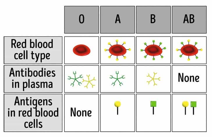 تغير فصيلة الدم