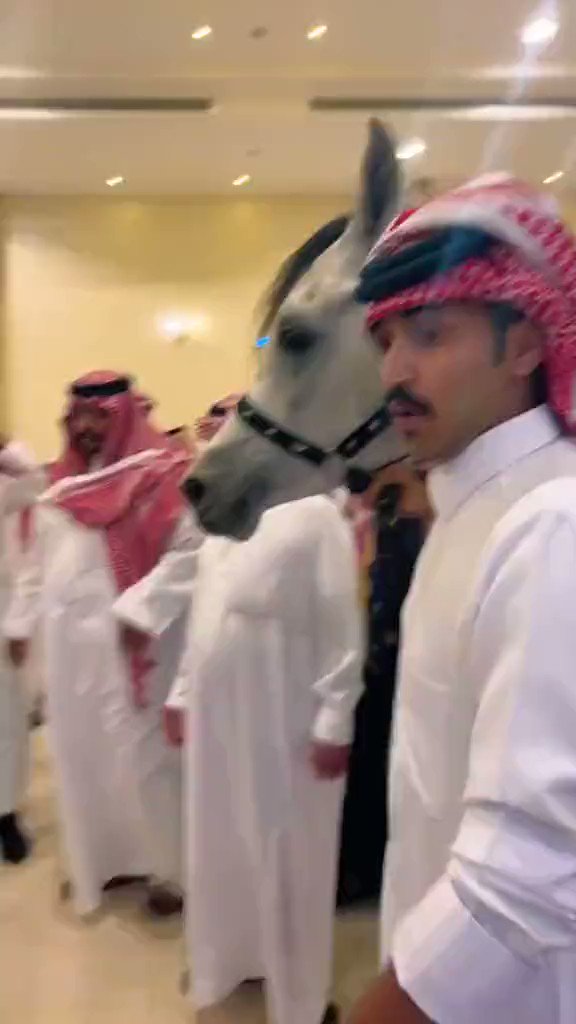 شاب يُهدي صديقه حِصان في يوم زواجه