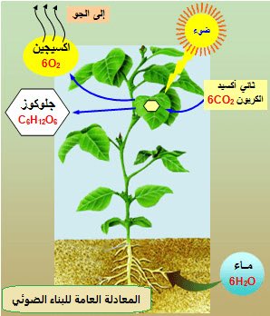 الفرق بين الشبك الاخضر الزراعي و الشبك الابيض