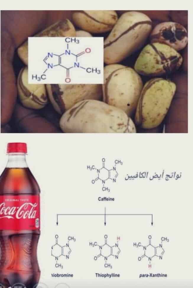 لماذا يعد نبات القورو من المخدرات ؟