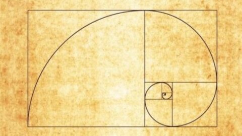 النسبة الذهبية في التصميم من خلال 5 علاقات اساسية